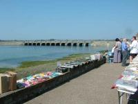 Foire aux livres et aux cartes postales