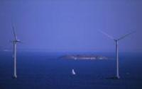 The wind farm projects on our shores seem stopped ... yet