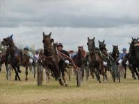 La Socit des Courses de Portbail (Hippiques)